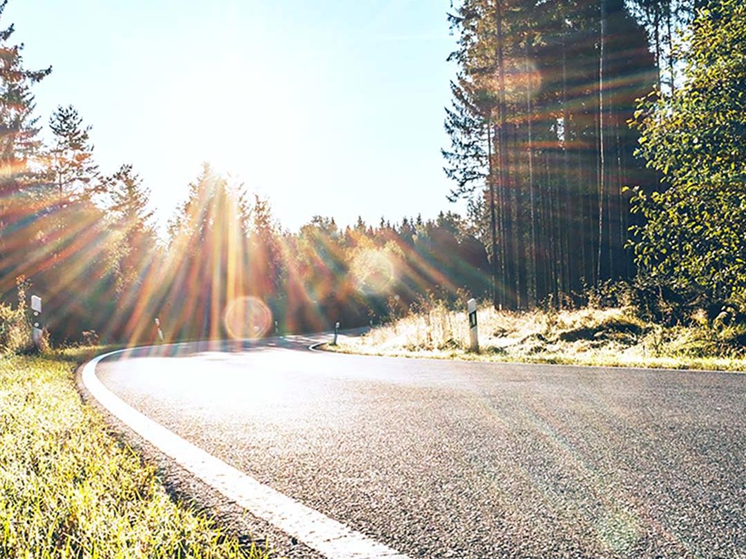 Et skyvebilde der den ene halvdelen viser en vei i skogen med sterkt sollys, og den andre halvdelen viser samme vei med redusert gjenskinn og forsterket kontrast, noe som understreker effekten til polariserte solbriller.