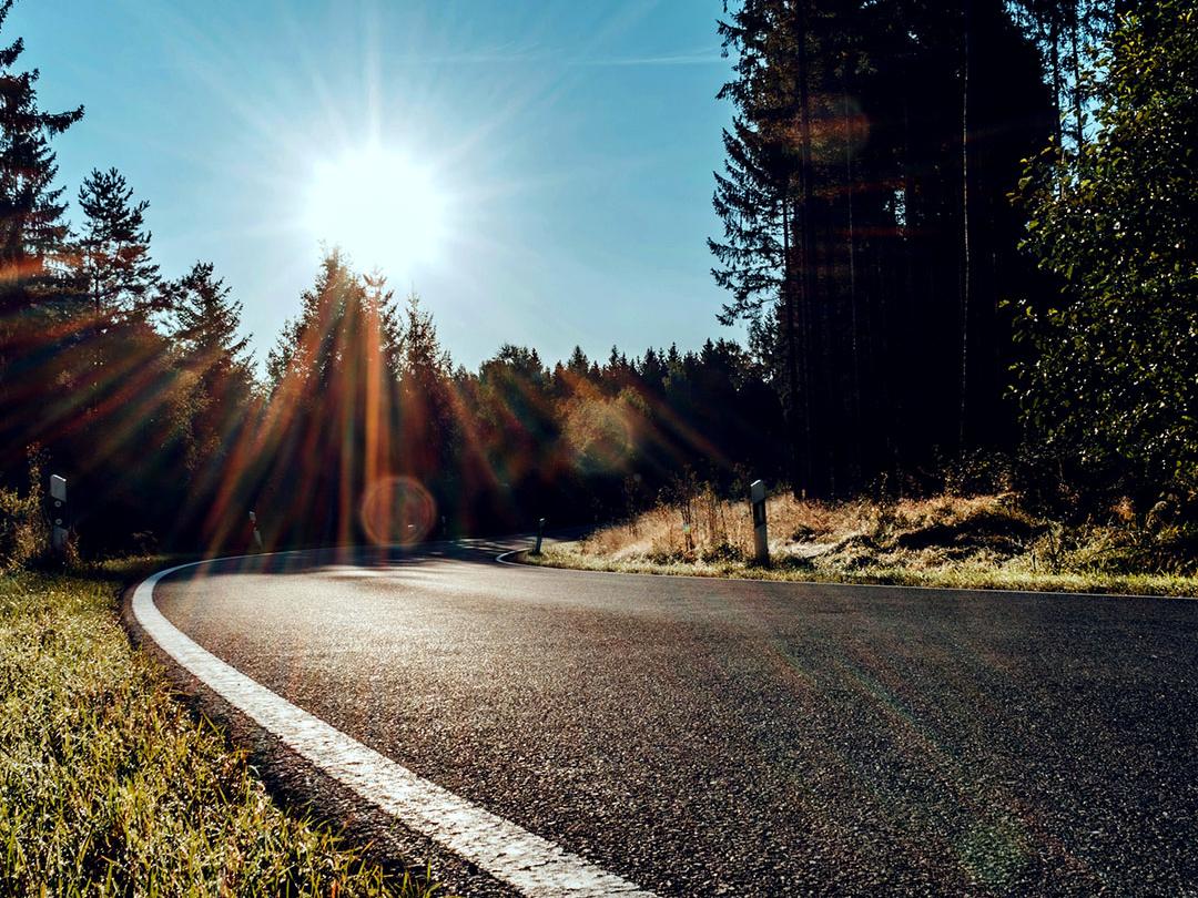 Et skyvebilde der den ene halvdelen viser en vei i skogen med sterkt sollys, og den andre halvdelen viser samme vei med redusert gjenskinn og forsterket kontrast, noe som understreker effekten til polariserte solbriller.