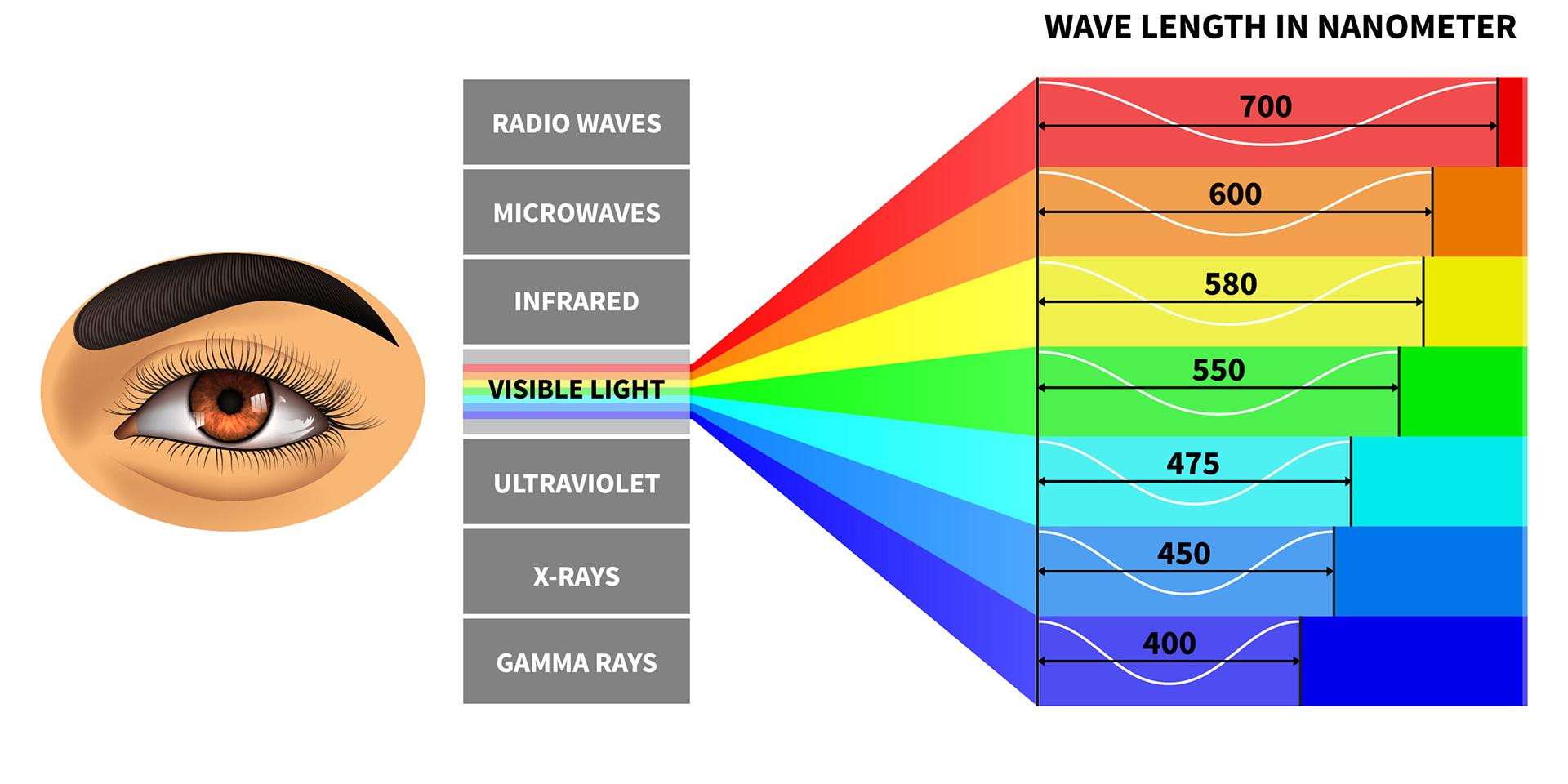Bare en ganske liten del av det elektromagnetiske spekteret kan sees av det menneskelige synssystemet.